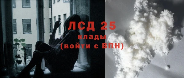 шишки Осинники