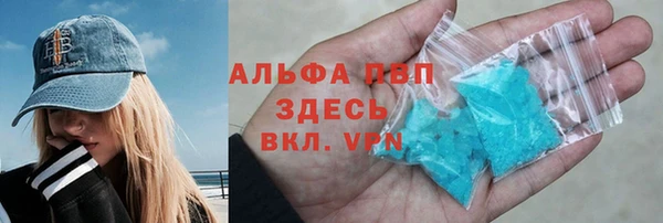 шишки Осинники