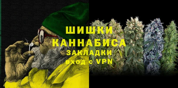 шишки Осинники