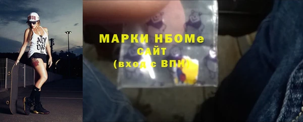 шишки Осинники