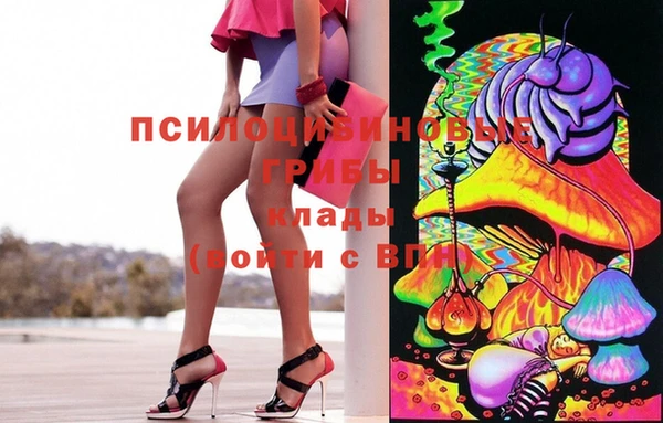 шишки Осинники