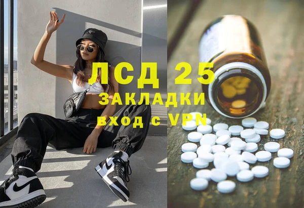 шишки Осинники