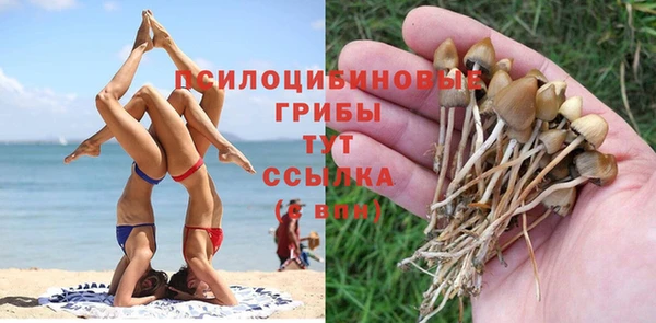 крисы Осташков