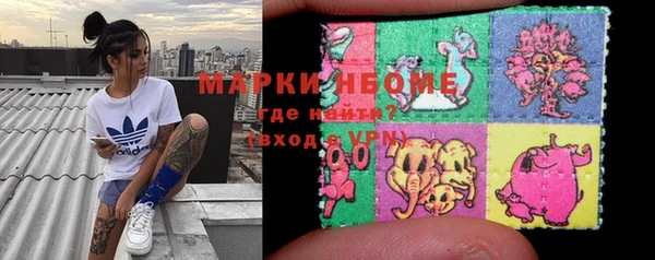 шишки Осинники