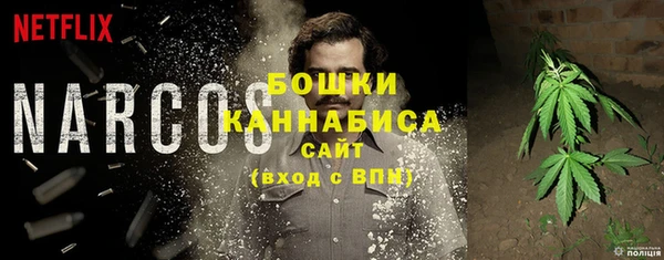 шишки Осинники