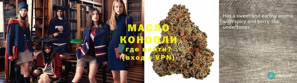 шишки Осинники