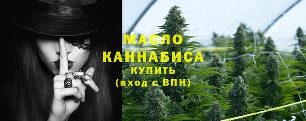 шишки Осинники